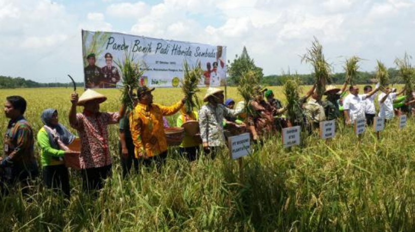 印尼总统访问押球官网印尼合资公司展位