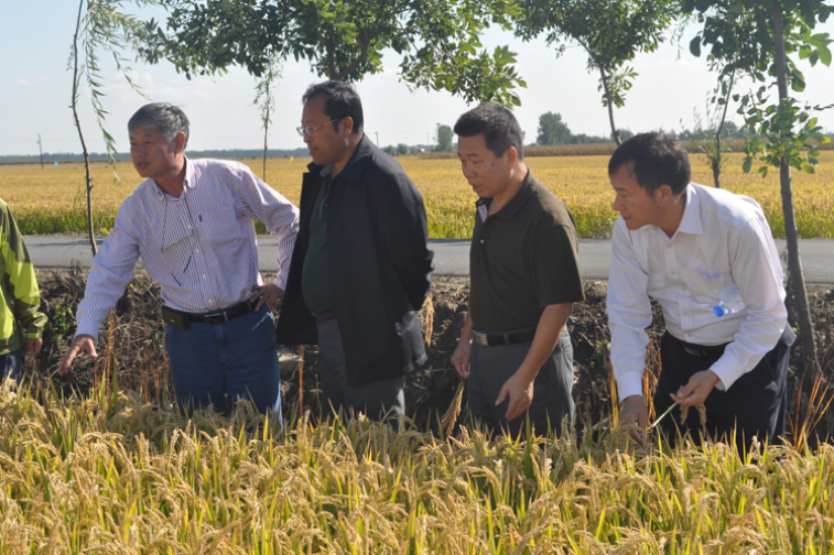 水稻专家组一行至辽宁天隆种业公司参观考察