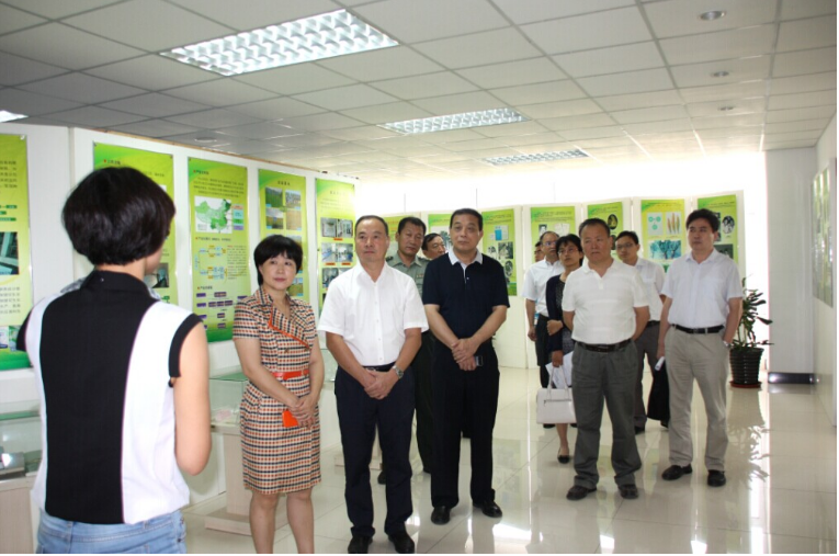 滨海新区人大代表来公司调研联盟工作