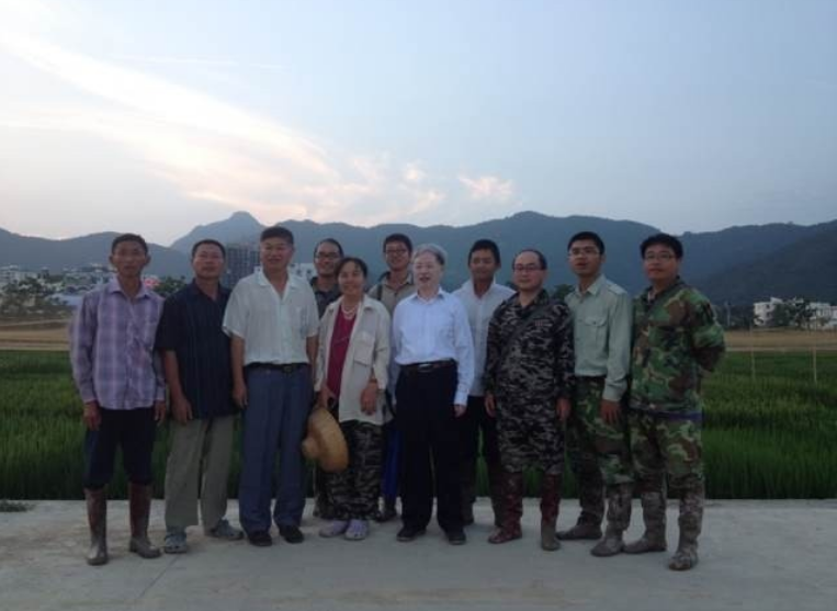 朱英国院士考察国家粳稻中心和天隆公司南繁基地