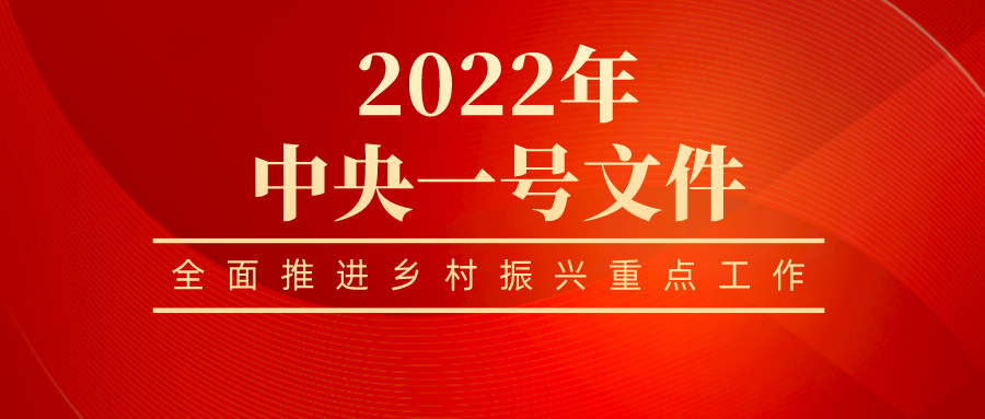 押球官网全员学习贯彻 2022年中央一号文件精神